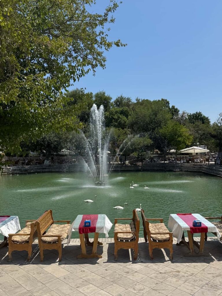 Wide view of the bustling Lyabi-Khauz Square in Bukhara, Uzbekistan, featuring the large central historic pond surrounded by ancient trees and open-air cafes with white ducks swimming in it.