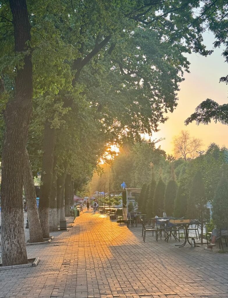 greenery and trees in sayilgoh alley in tashkent during sunset hour