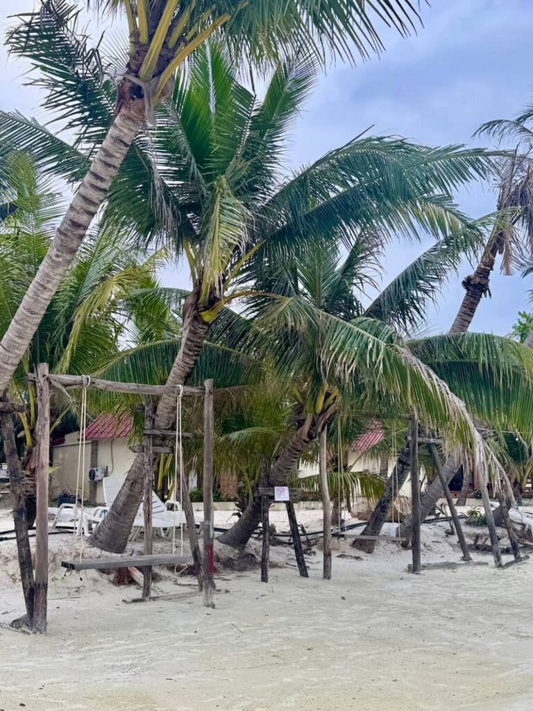 Wooden rope swings hanging from leaning palm trees on a white sand beach at Saracen Bay, Cambodia.