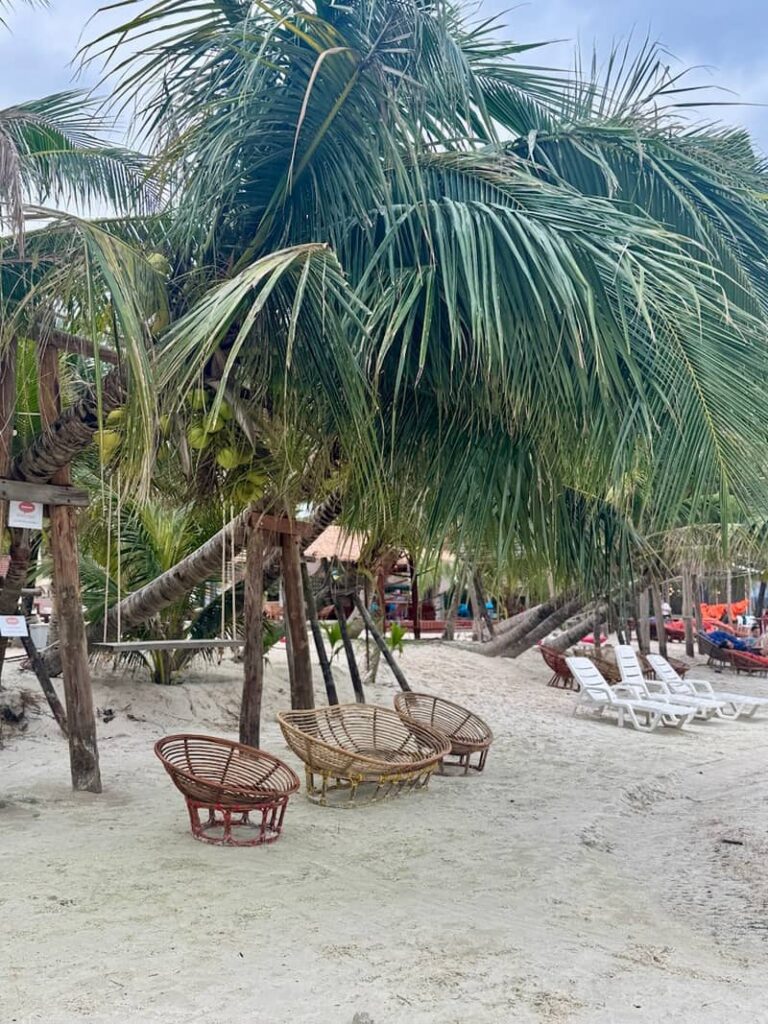 Rattan chairs and lounge loungers set on the white sand under leaning coconut palm trees at Saracen Bay.
