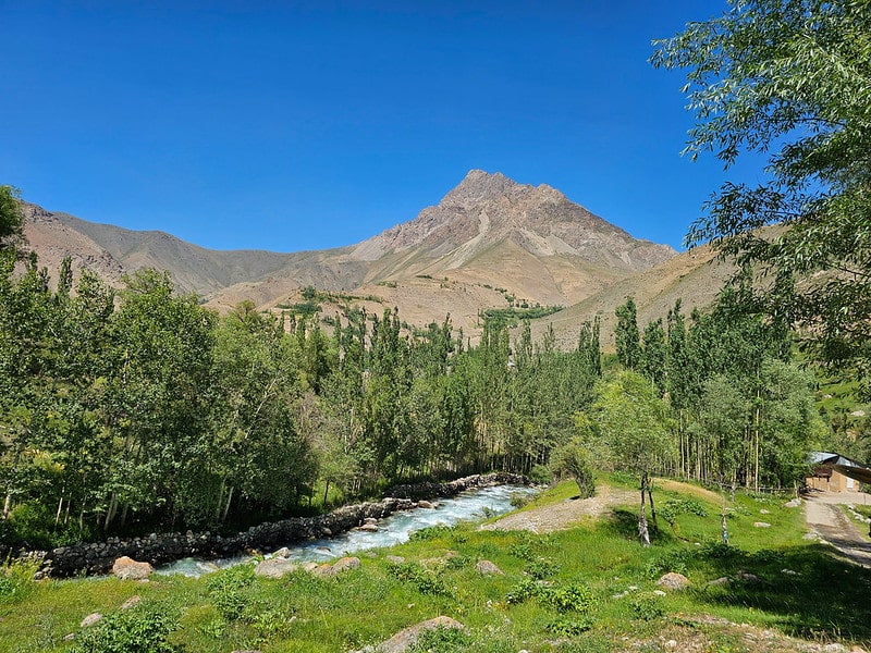 A river winding through lush green trees with dramatic, rocky mountains in the background under a clear blue sky, Tajikistan.