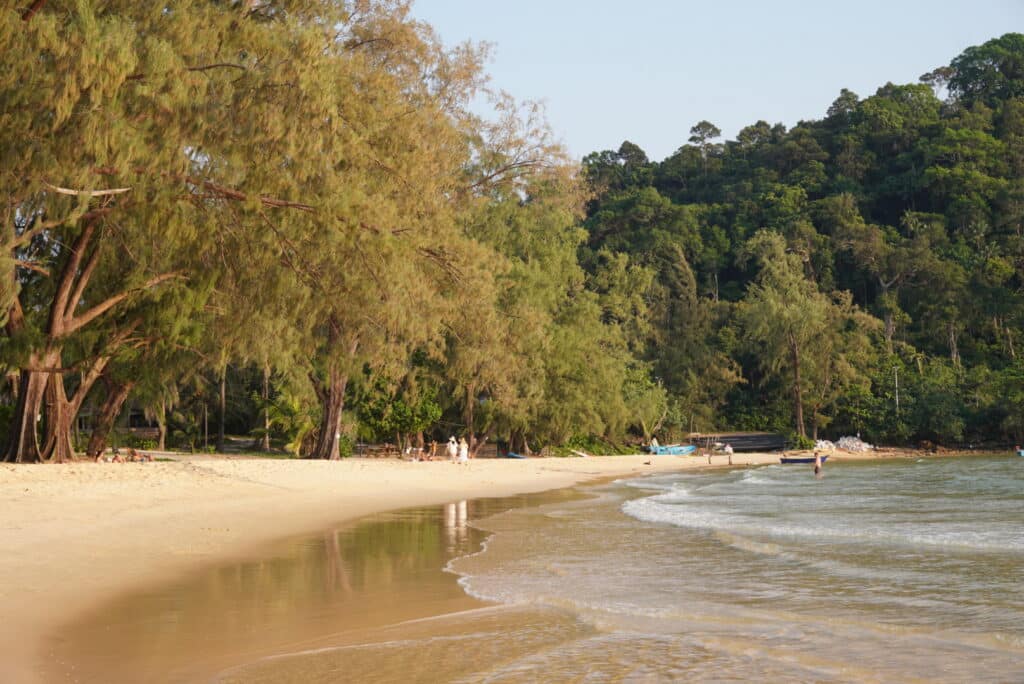 A scenic sandy beach lined with lush green trees and gentle waves rolling onto the shore with a forested hillside in the background.