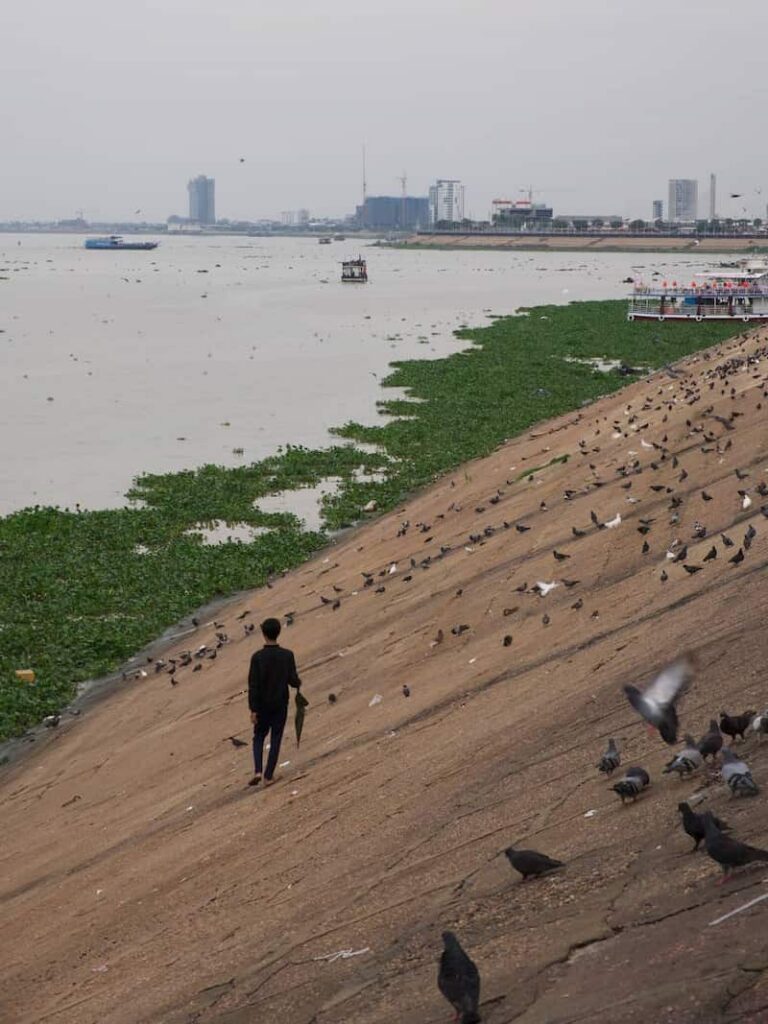 A person walking down the sloping concrete riverbank in Phnom Penh, surrounded by flocks of pigeons, with boats and the city skyline across the water.