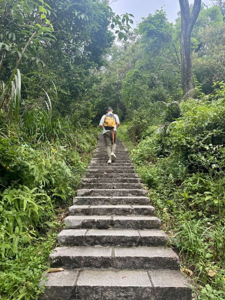 Hiker walking up a long, steep flight of stone steps through a lush green forest trail in Taipei