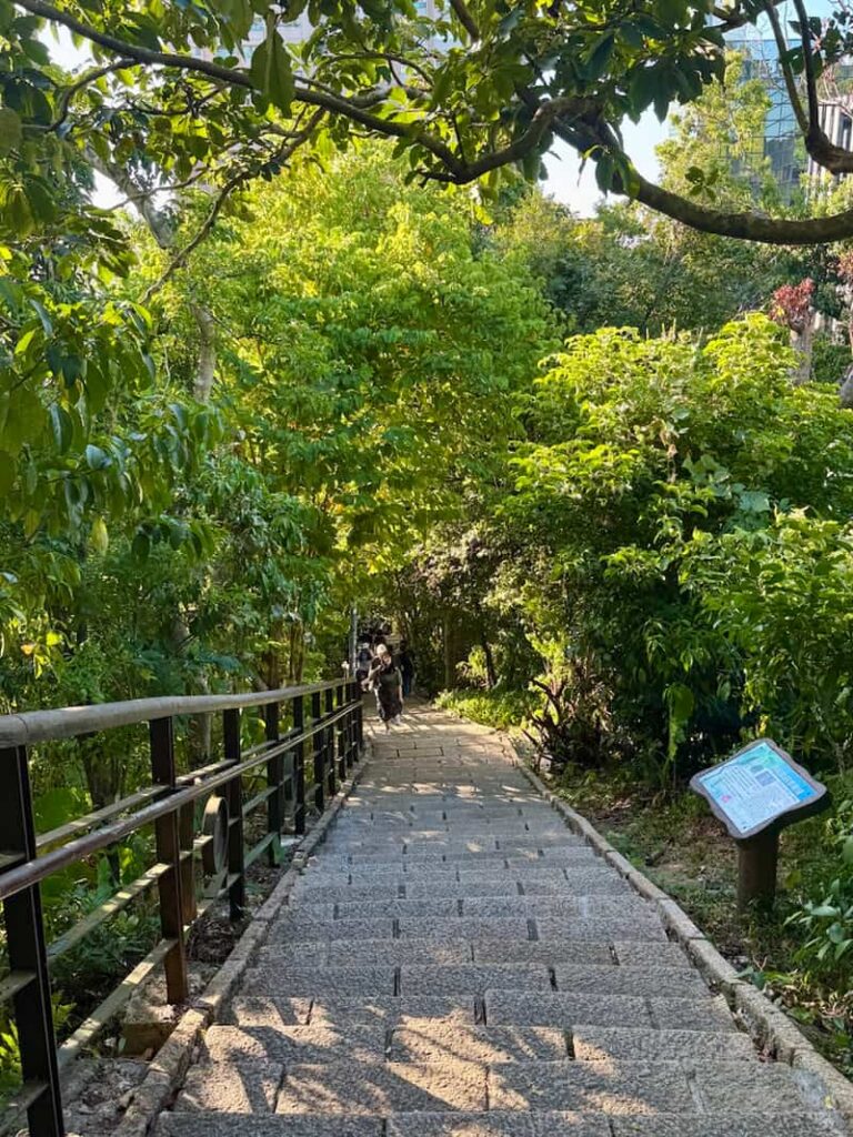 Stone pathway stairs winding down through a dense green forest on the Elephant Mountain trail in Taipei.