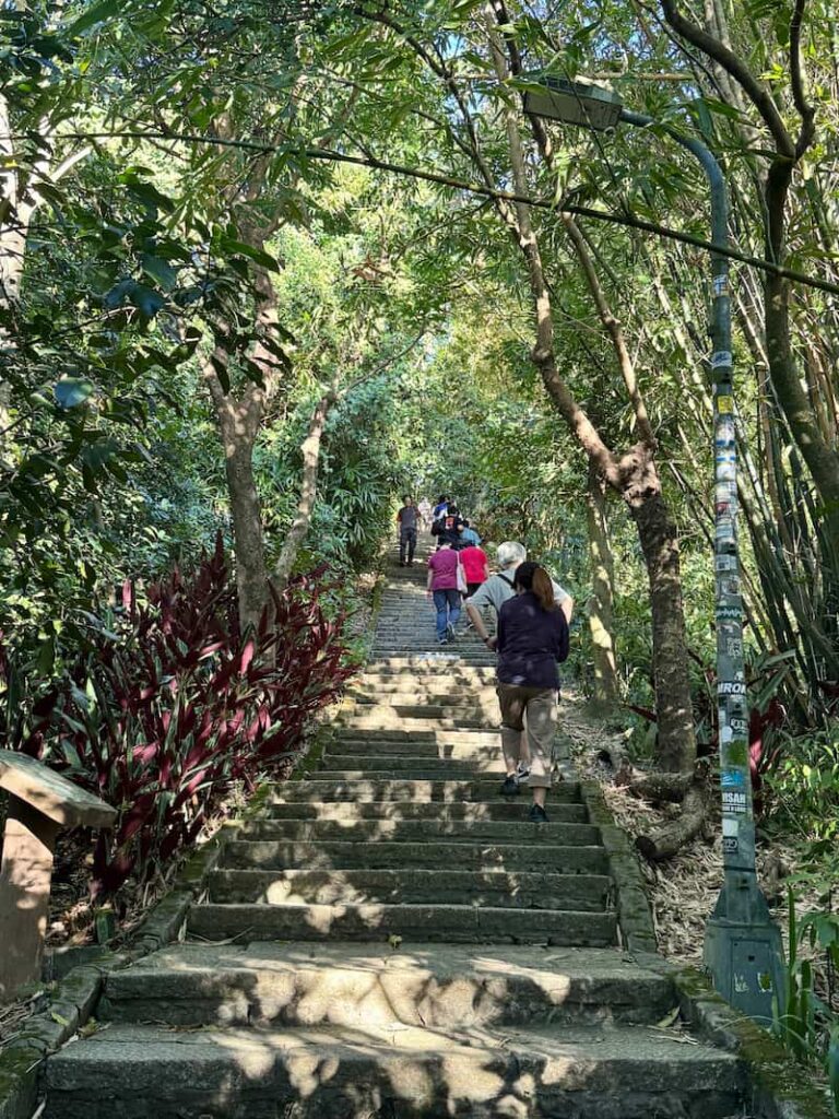 Hikers climbing the stone stair trail surrounded by lush greenery on Elephant Mountain in Taipei.